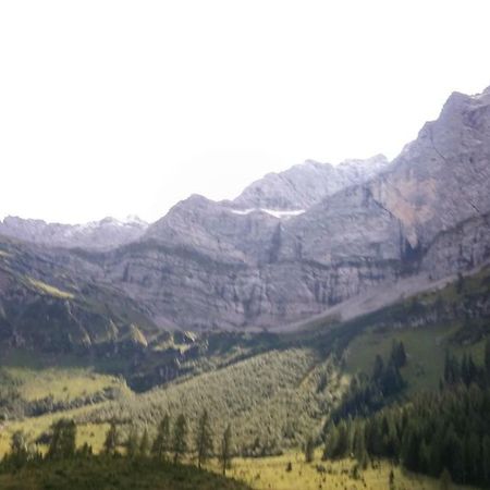 Appartamento Haus Steinroeschen Seefeld in Tirol Esterno foto