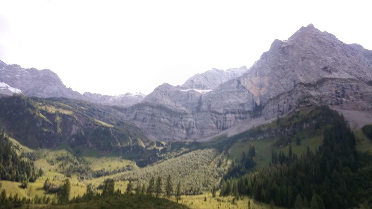 Appartamento Haus Steinroeschen Seefeld in Tirol Esterno foto